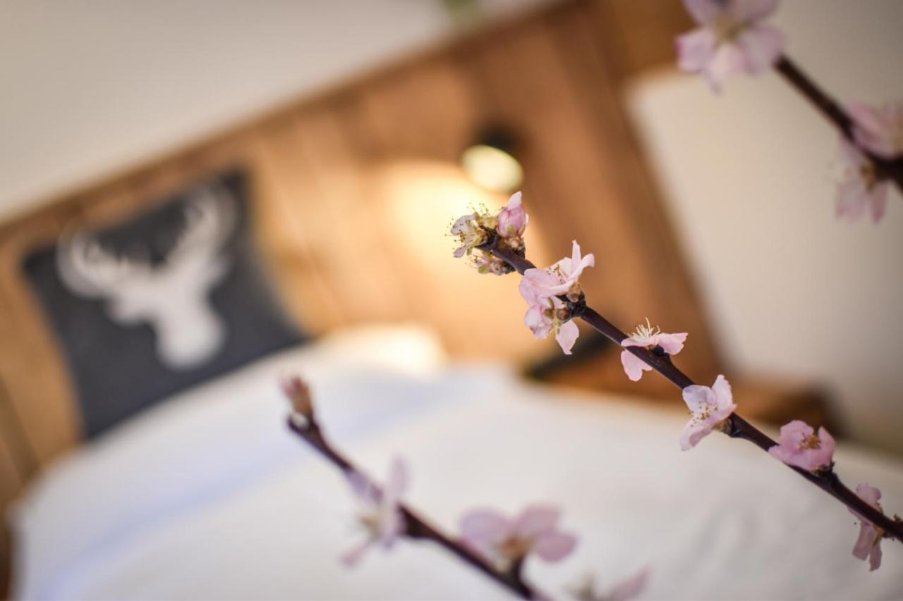 Luxx Lodges - Holzgau - Lechtal - Arlberg 외부 사진